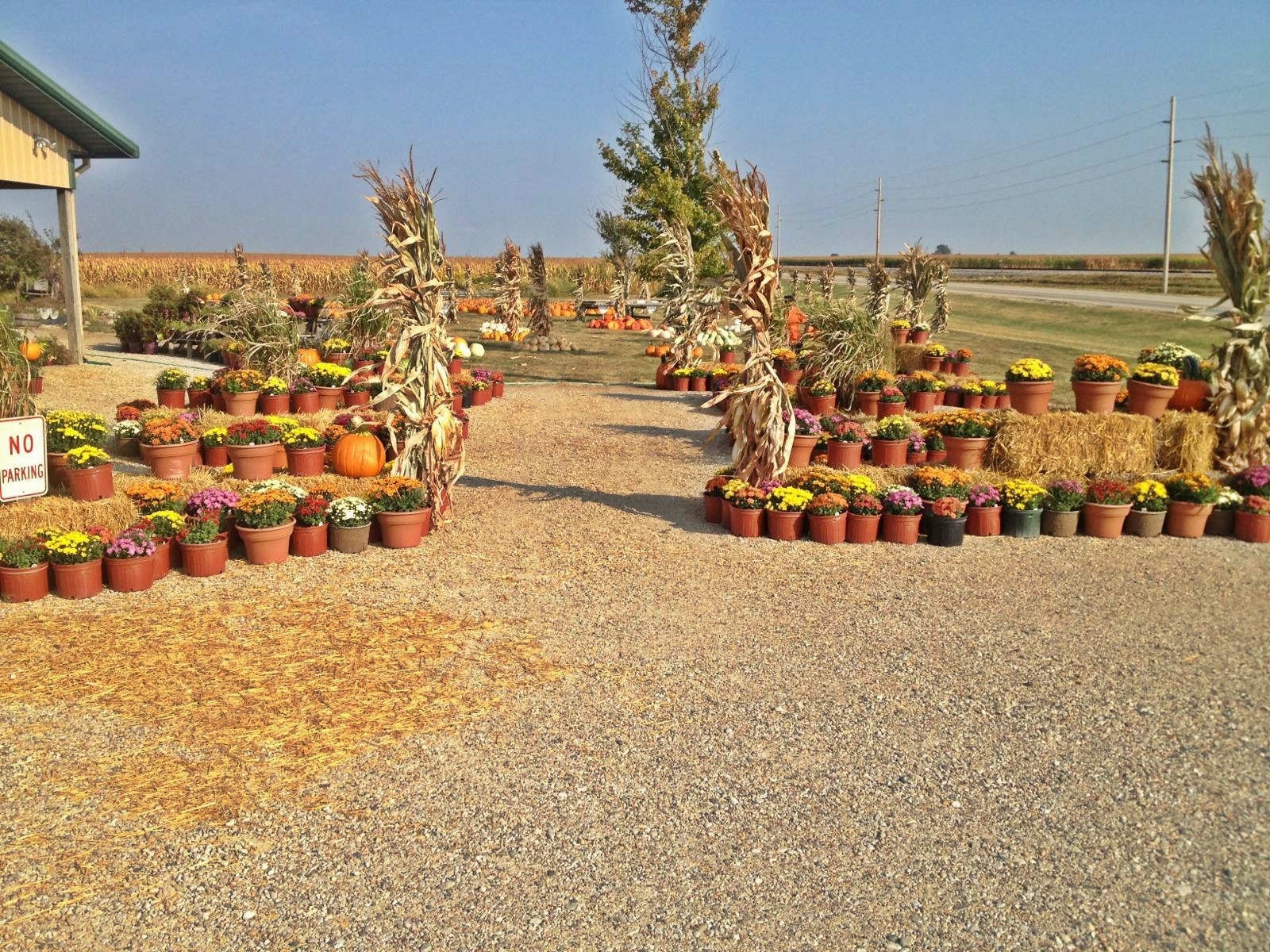 Buxton's Garden Farm & Flower Shop
